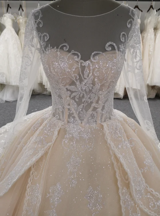 Champagne Wedding Dress 2021 Luxurious Long Sleeves Embroidered Cathedral/Royal Train Wedding Ball Grown