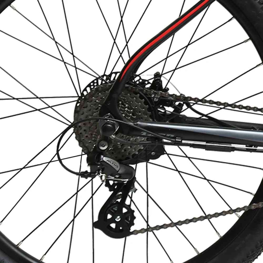 TXED Mountain Electric Bicycle With Good Price Rear Hub Motor mtb e bike