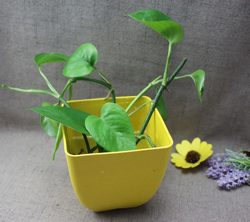 eco round bamboo fiber glass vases