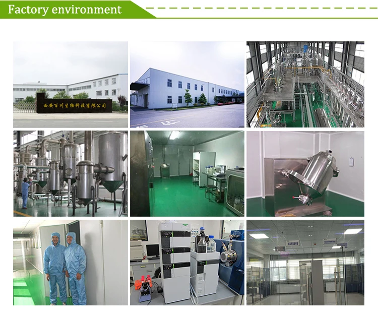 
High quality Aloe vera gel juice extract / powder in bulk stock 