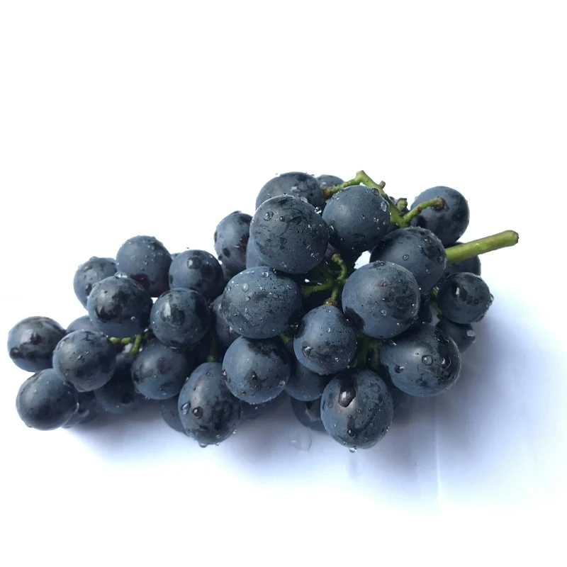 
Саженцы винограда 