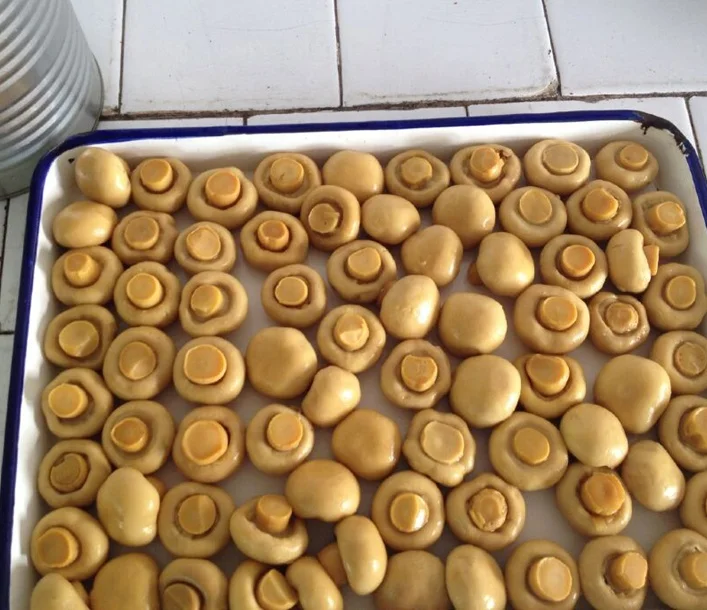 
Wholesale Chinese Best Canned Champignon Mushroom in Stock 