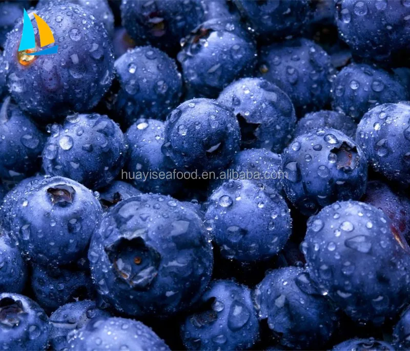 IQF Frozen Blueberry Export Price