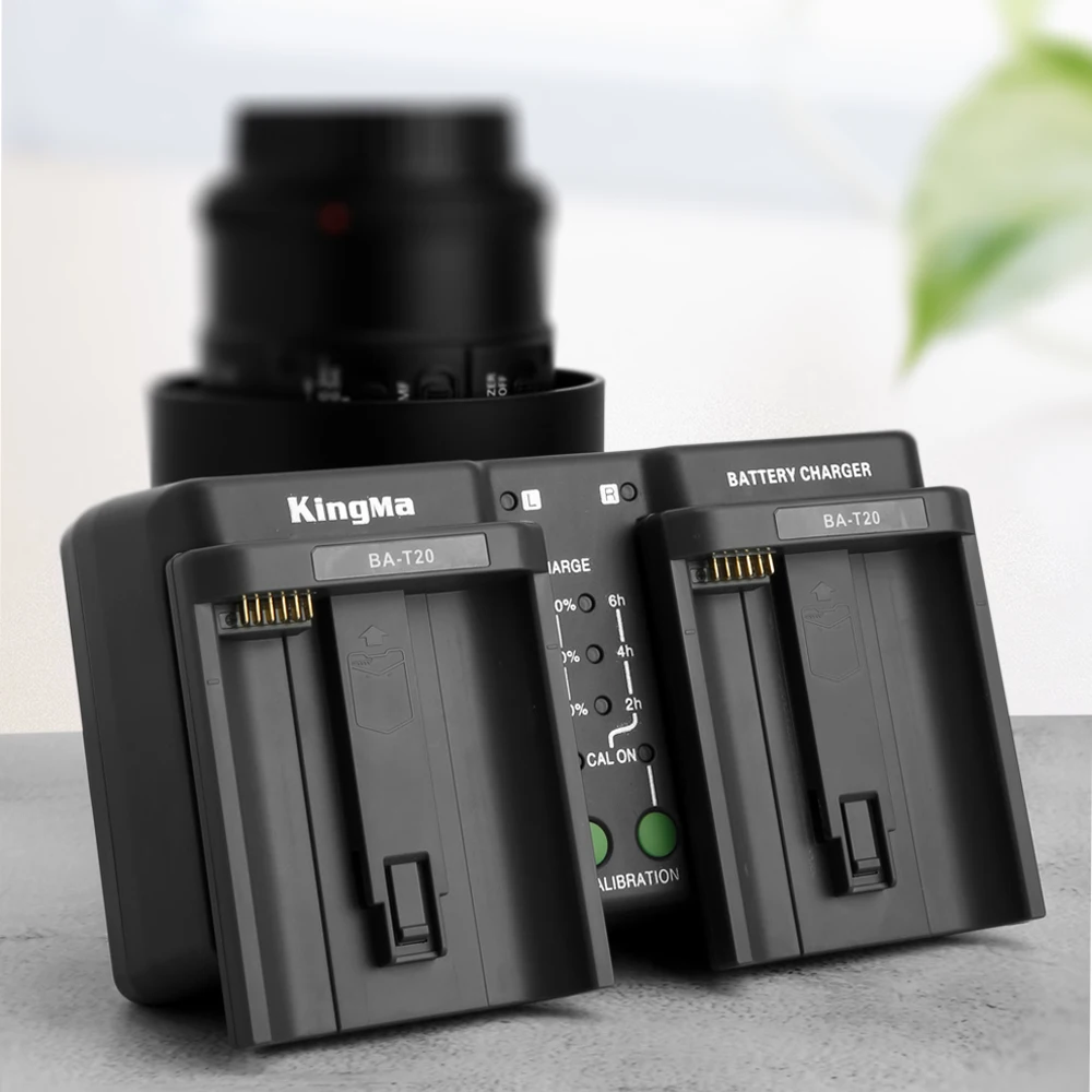 KingMa 2600 мАч LP-E19 LP-E4N батарея (2 штуки в упаковке) и двойной зарядное устройство для цифровой однообъективной зеркальной камеры Canon EOS 1Dx Mark II, 1Ds Mark III, 1D Mark IV