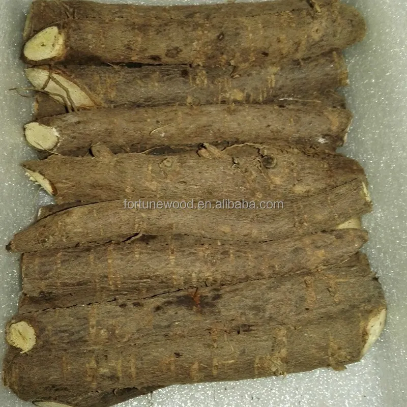 
Paulownia elongata rootstock certificated 