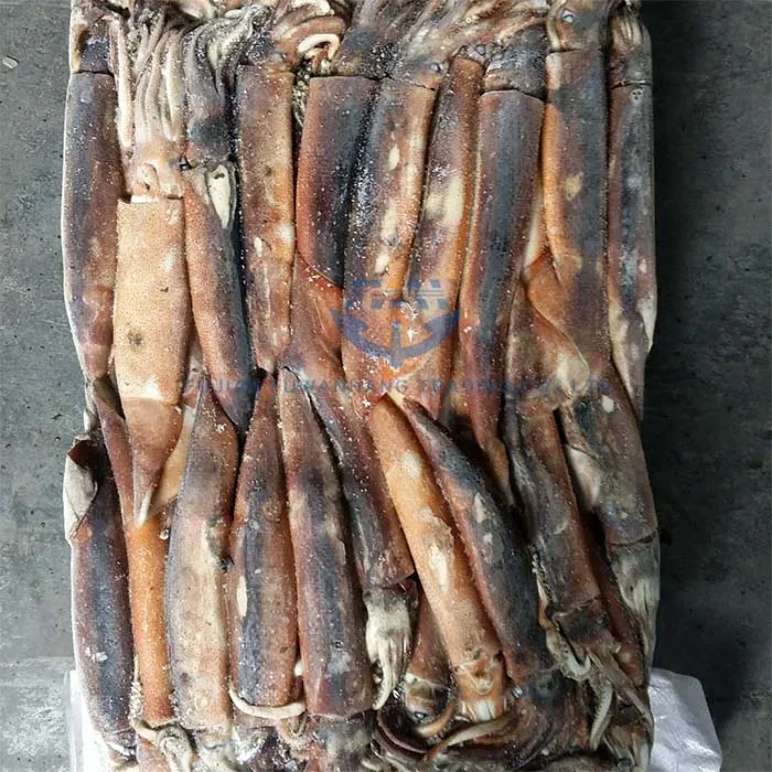 Замороженный кальмар по оптовой цене, замороженный кальмар Illex, морская еда