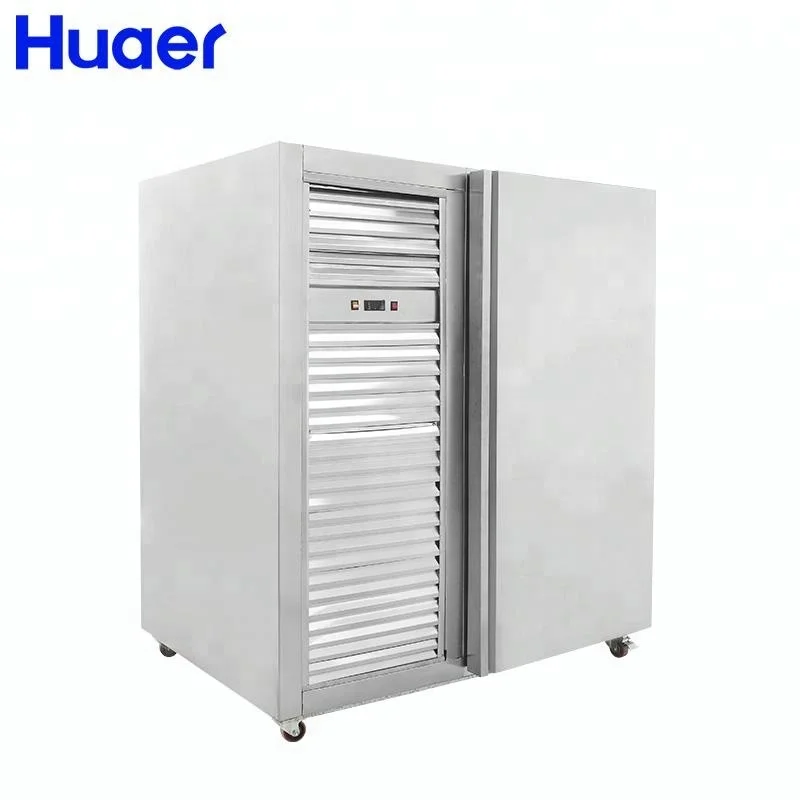 commercial instant shock deep freezer fish machine