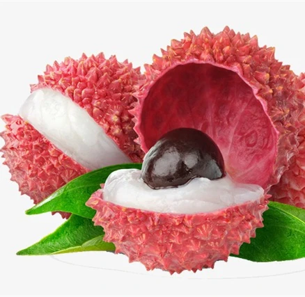 
Canned food list canned lychee organic food for indonesia food 
