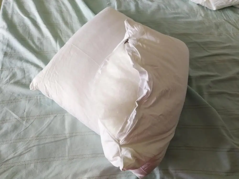 OEM 100% mulberry silk filling pillow 51*75cm 2kg long silk fiber filling silk pillow