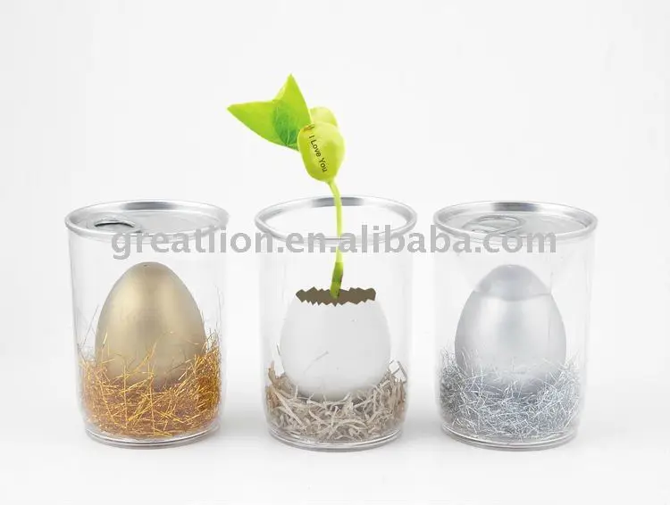 
baby plant,pet plant,baby flower,magic egg,magic bean,mini flower,grass doll,promotion gift,can flower,magic plant 