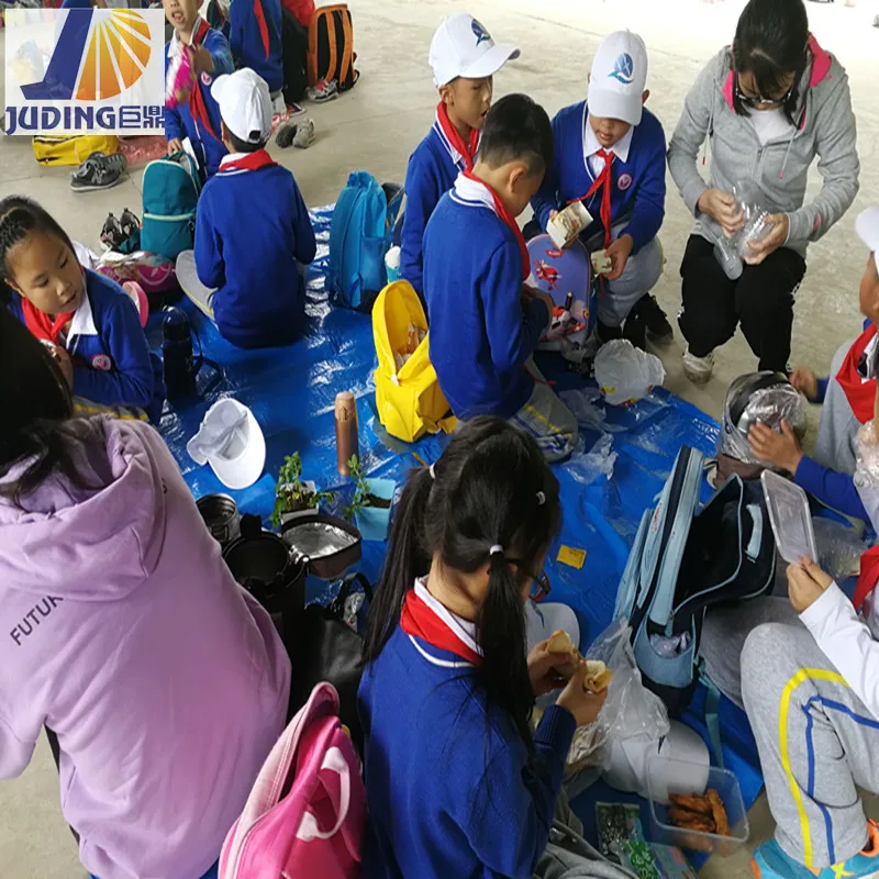 160GSM, 220GSM, 260GSM LDPE Laminated High Density Polyethylene HDPE PE Tarpaulin