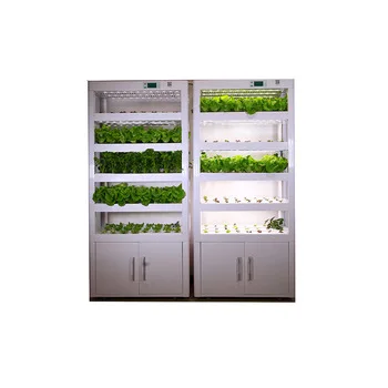 Automatic hydroponic growing system garden hydroponic tower system for growing flowers, vegetables, herbs, fruits
