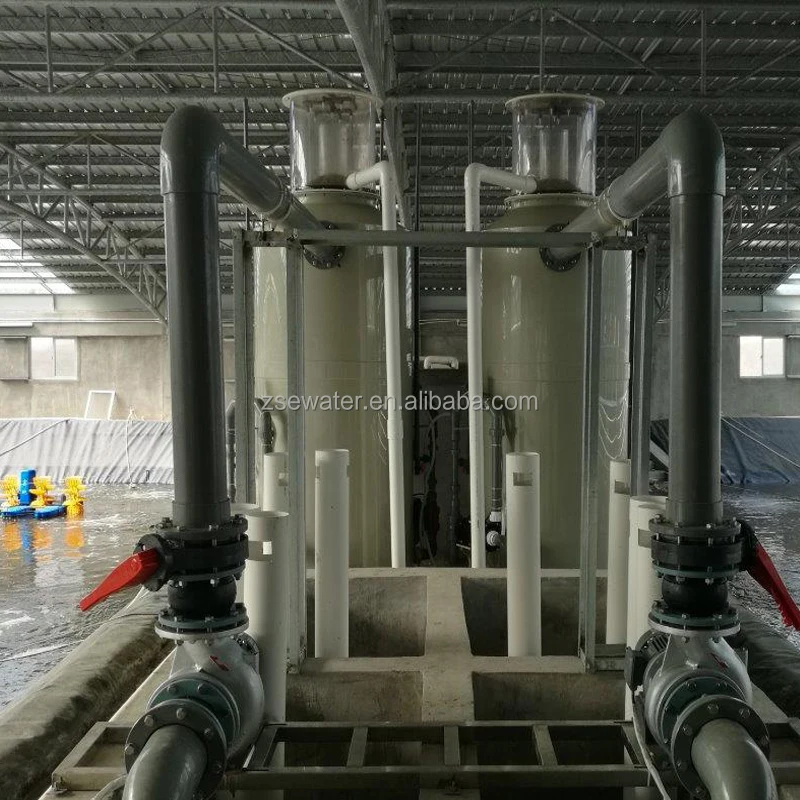 eWater RAS Indoor Fish Farm Recirculating Aquaculture System Vannamei Project and Indoor Aquaculture Equipment  In India
