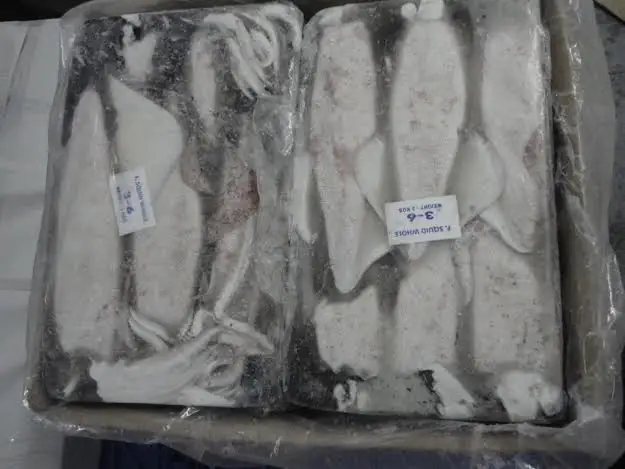 Замороженный кальмар lолиго оптовая продажа высокое качество с высоким минимальным заказом экспорт индийских морепродуктов