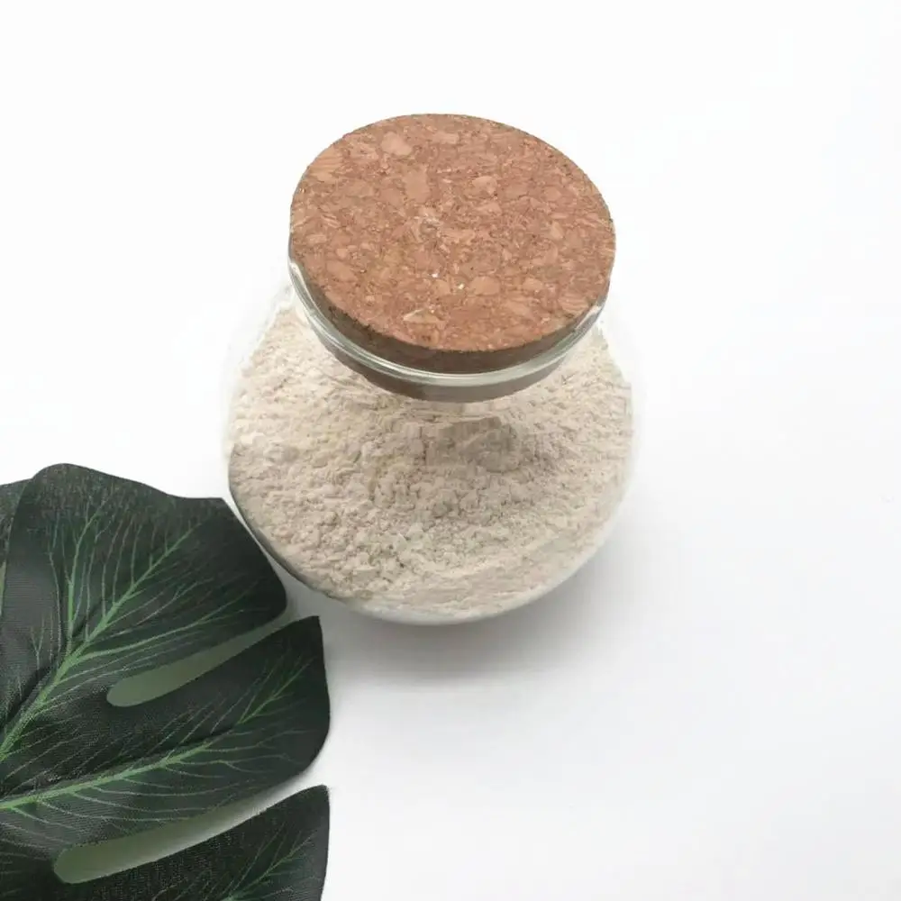 300Mesh 600Mesh high quality food flavour rice protein for dairy food