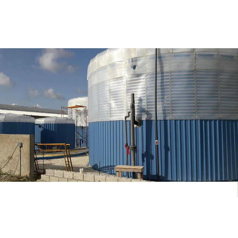 Renewable Energy Electricity Production From Biomass To Biogas