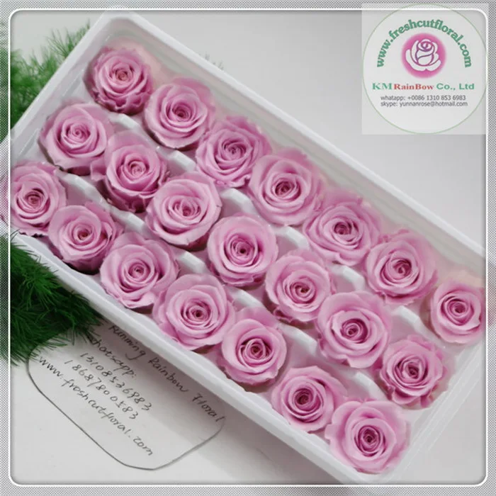 natural mini preserved rose head 2-3cm diameter in size 24 pieces/box
