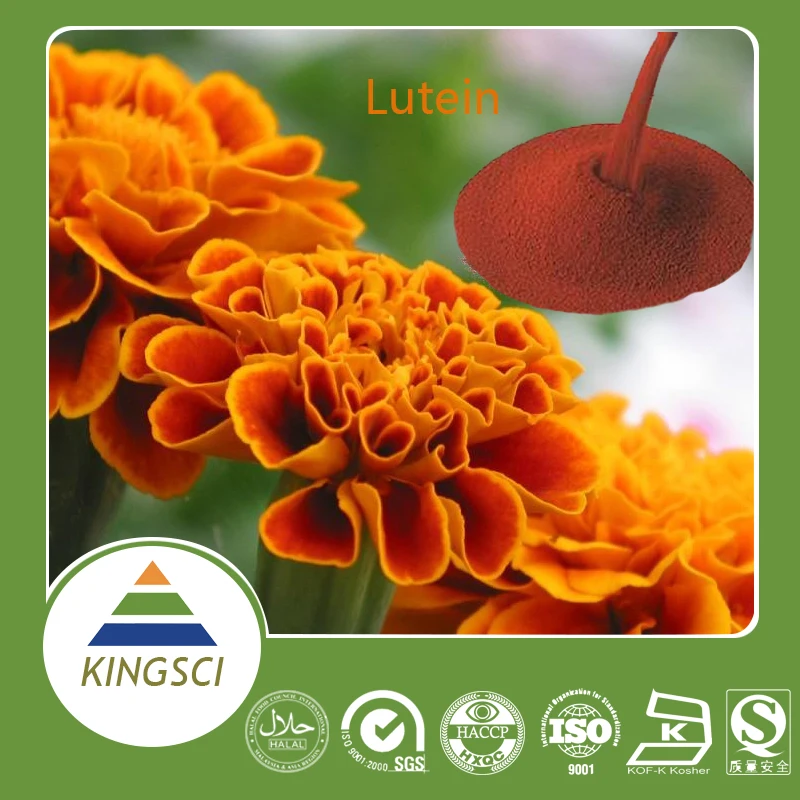 
Marigold Flower Extract Lutein 5% 10% 20% CWS CWD beadlets 
