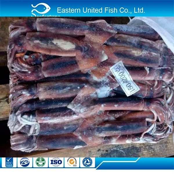 Seafood Export Dried Cuttlefish Squid
