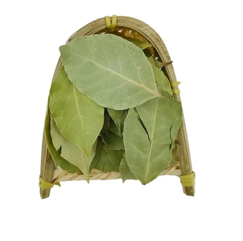 Натуральный Новый Сушеный Сладкий целый лист Лавра для натуральной