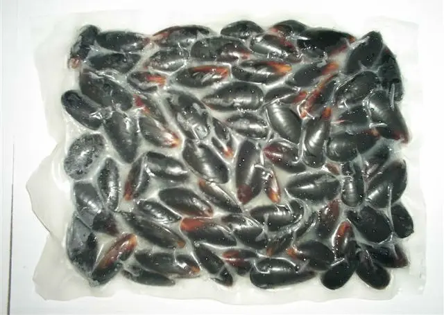 
Whole mussel 