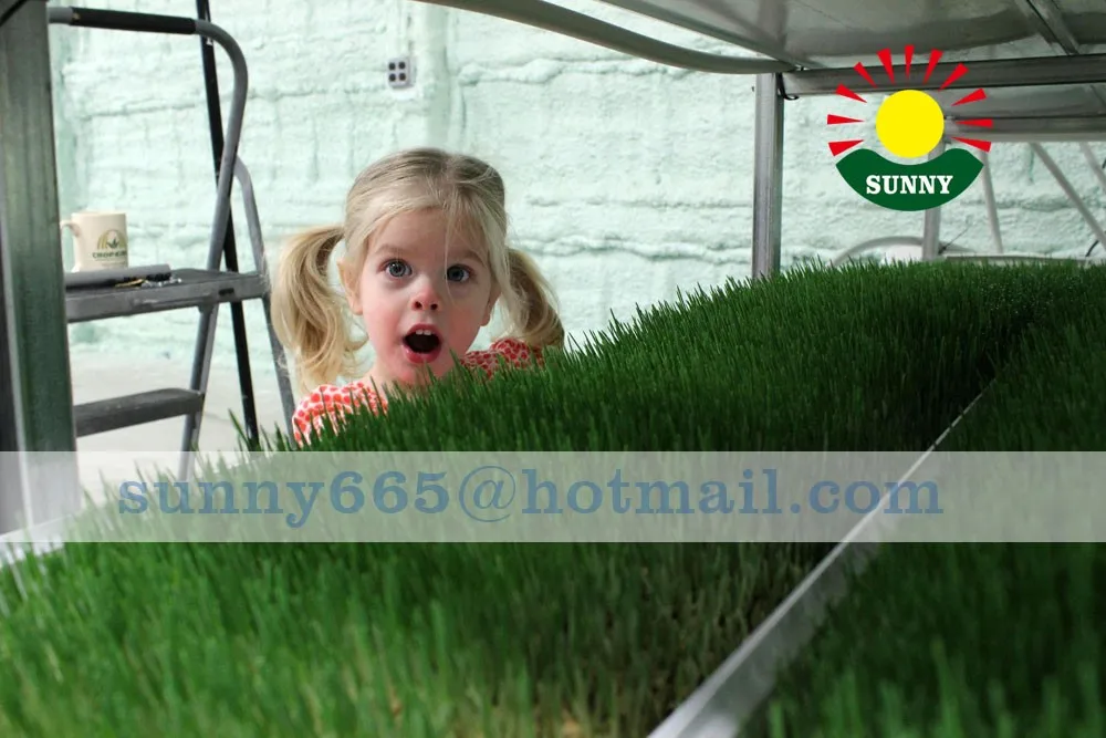 
Container Type Hydroponic Energy-saving Cattle And Sheep Fodder Growing Machine 