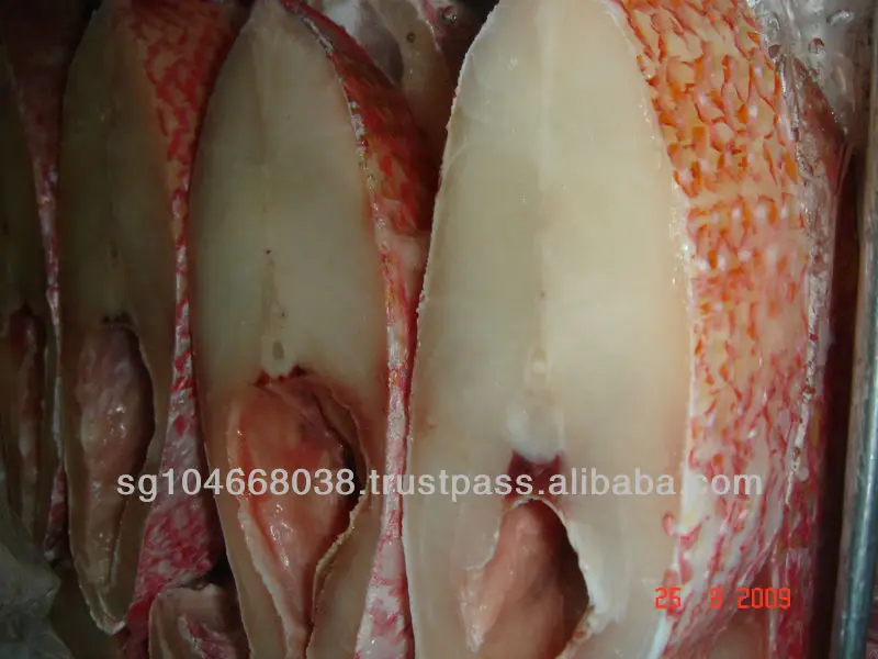 FROZEN RED SNAPPER STEAKS OR SLICES