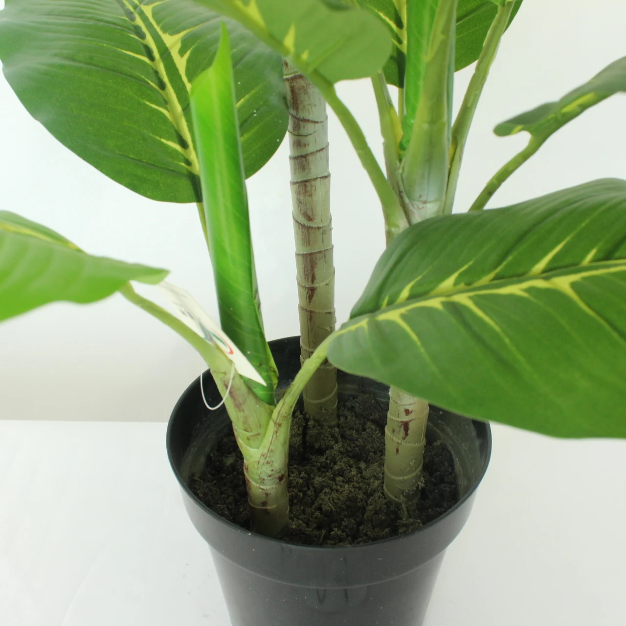 Wholesale Artificial Different Type Of Plants And Trees Plant With Pot