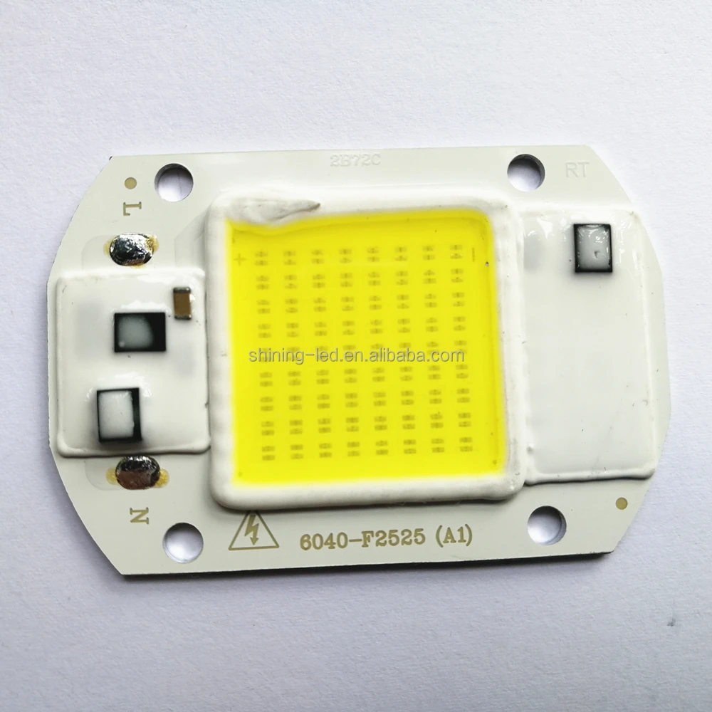 Light Source Encapsulation Series Without Driver 10W 30W 50W 100W 150W 110V / 220V AC 20W Driverless COB LED Chip