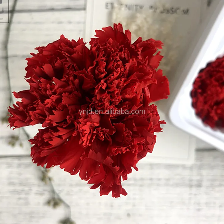 cheap price best quality China 4-5cm preserved carnation flower nice lower