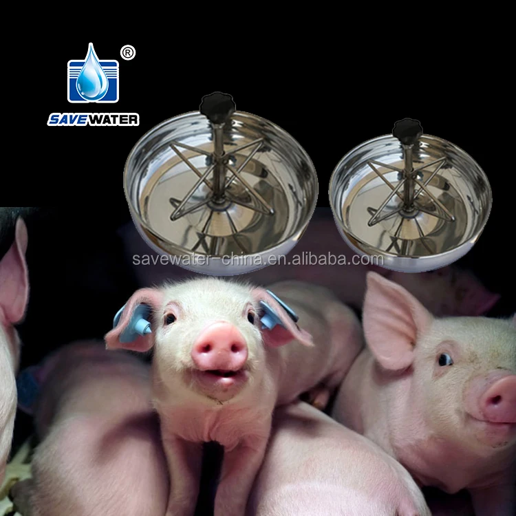 pig drinkers and feeders feeding troughs feeders for pigs swine