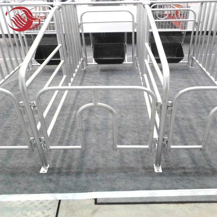 Pig House Farming Equipment Galvanized Sow Gestation Cage / Gestation Pen / Gestation Crate pig barn