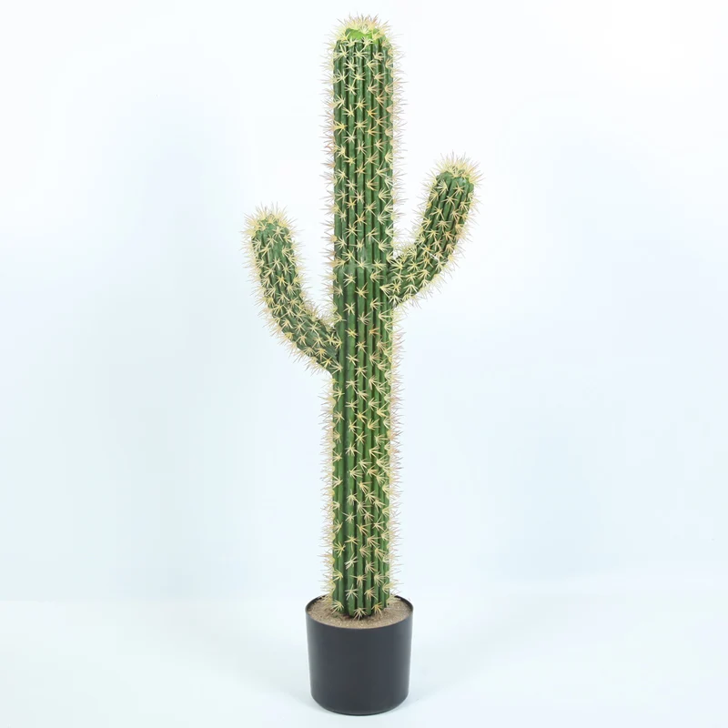 Supplier Artificial potted Decorative plants outdoor simulation cactus