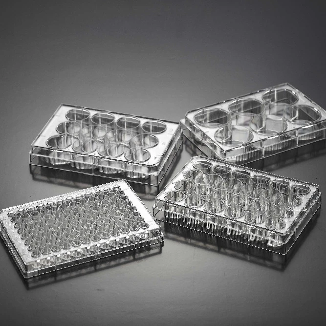 multiple well cell and tissue culture plates lab laboratory wholesale china