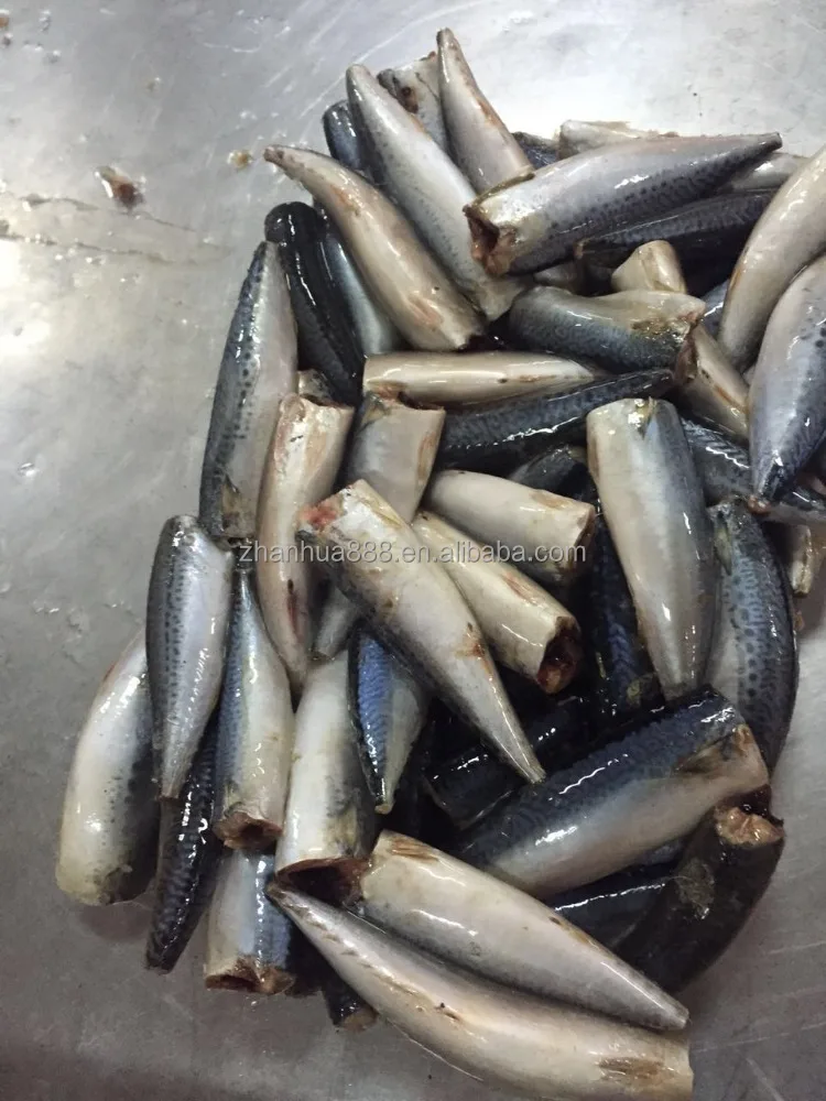 ХАГА pacific скумбрия, тихоокеанский скумбрия для палками, китай происхождения скумбрия ХАГА