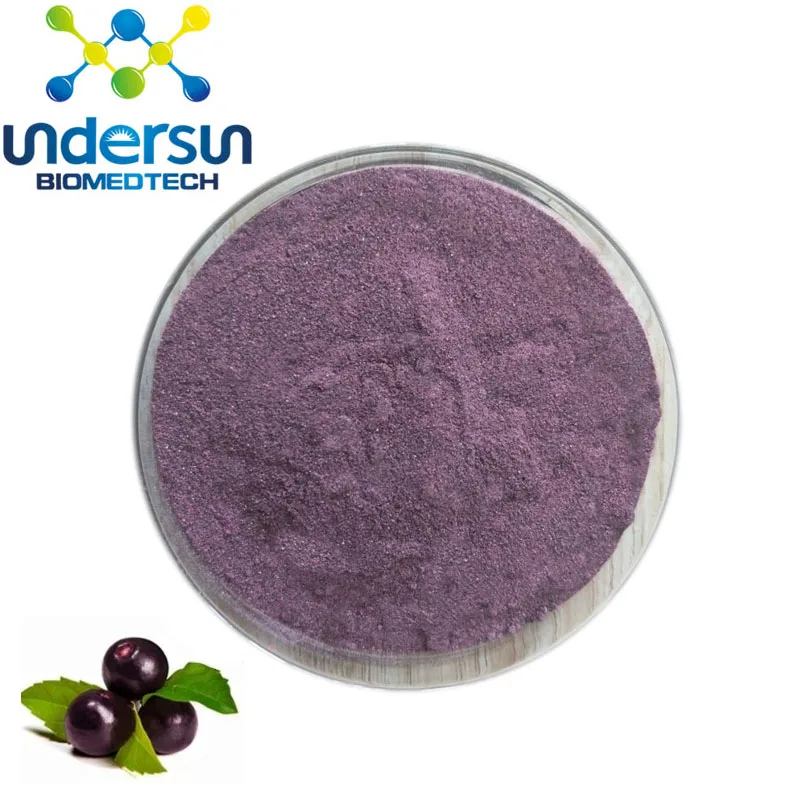 Supply brazilian acai berry extract powder