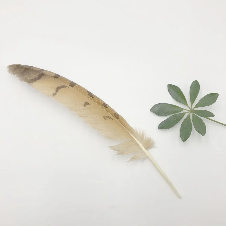 Natural owl Feathers 14-16 inch /35-40 cm carnival Diy costume