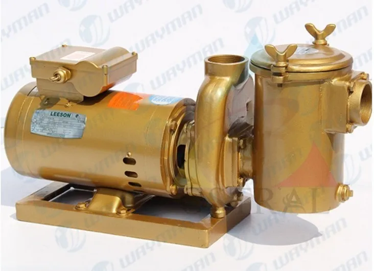 High quality Pool Products for Pool Spa Water Circulation Swimming Pool Cooper Pump