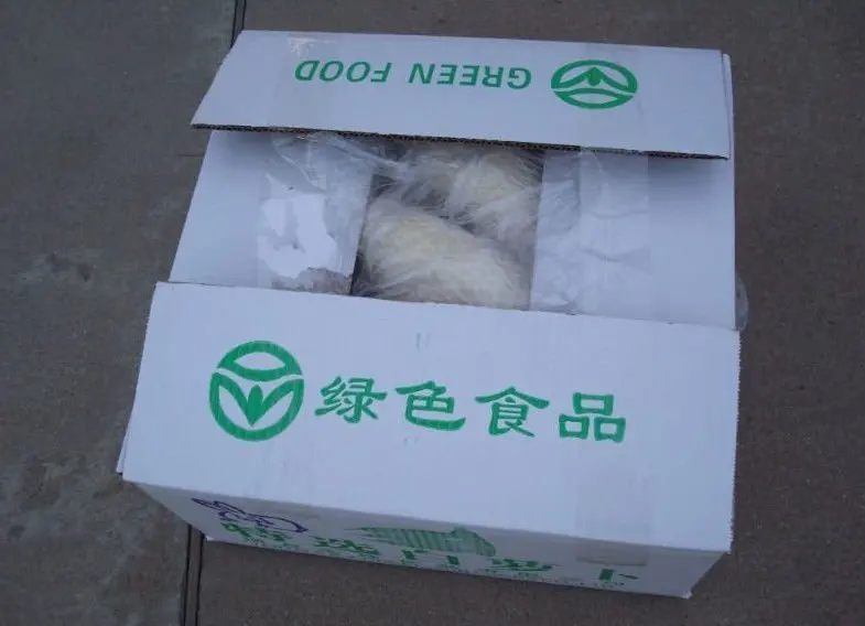 
hot sale fresh white turnip 