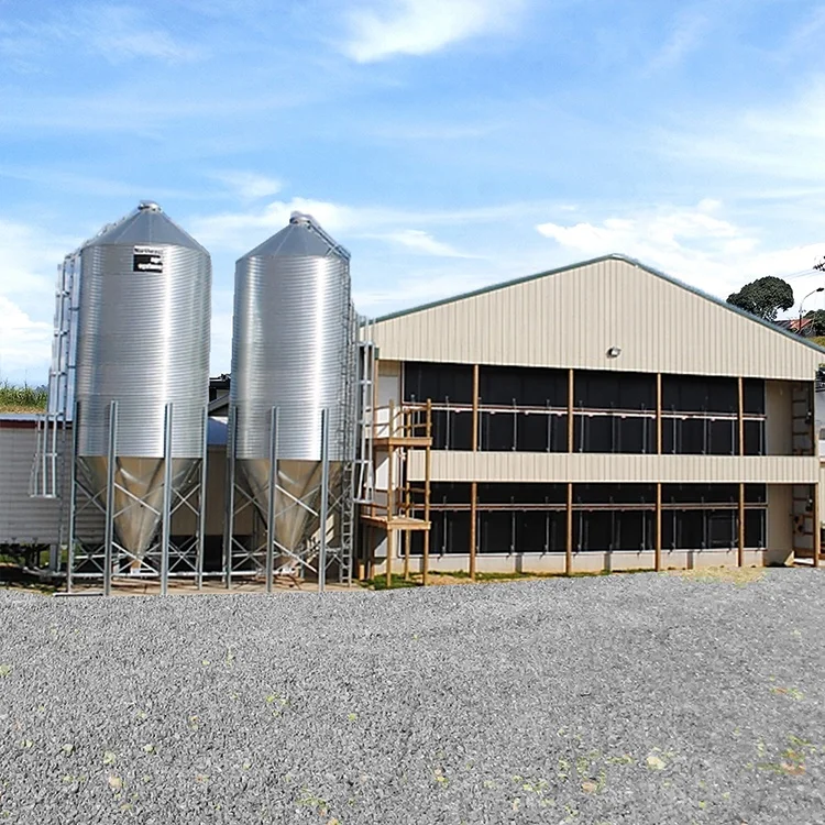 Сборные куриные яйца Птицефабрика Дом Строительство чертеж