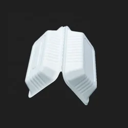 Take away biodegradable freezer safe lunch box