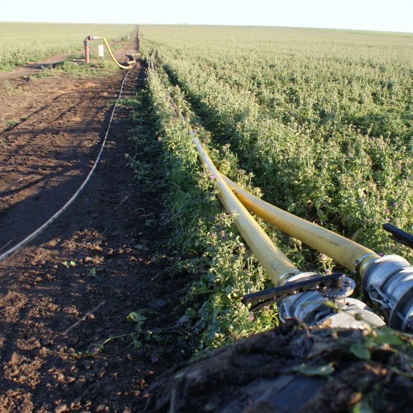 Farm Lateral Move Irrigation / Four Wheel Linear Irrigation Systems With Fertilization For Agriculture Machine