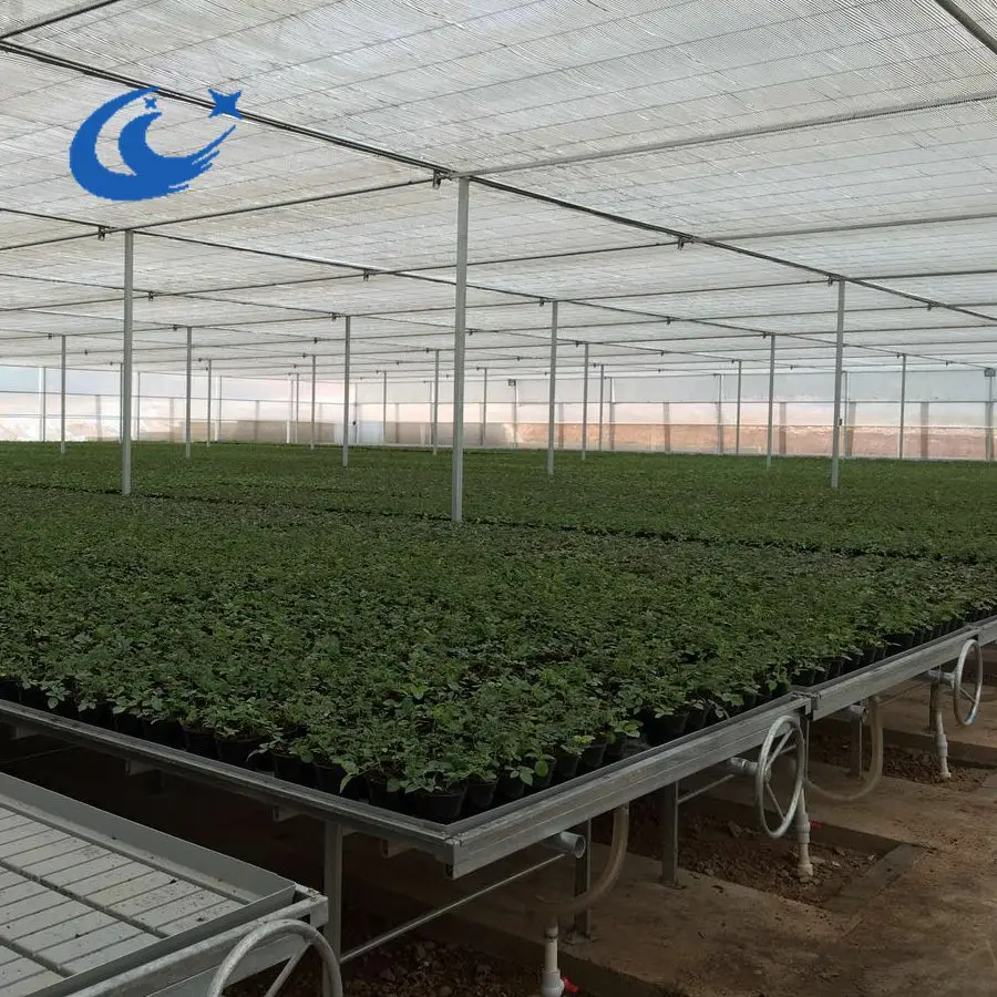 Greenhouse kits ebb flow trays rolling tables plant growing trays