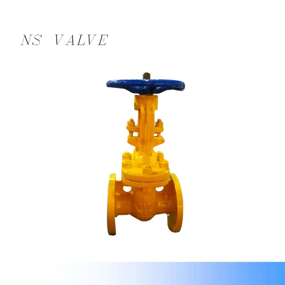 
WCB SS304 SS316 ASME B16.5 Calss300 Flanged Gate valve 