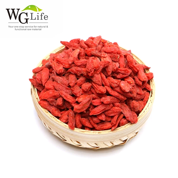 Factory direct supply wolfberry goji berry powder Plant Extract