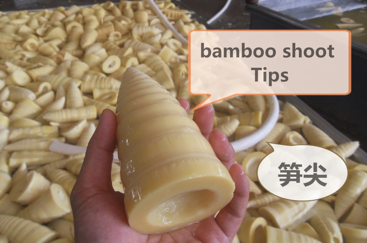 
2019 canned bamboo shoots slices 