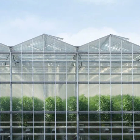 Smart glass greenhouse and agricultural vegetable greenhouse