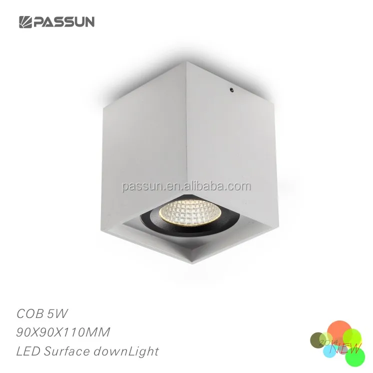 passun lighting two heads led downlight & surface led ceiling lamp