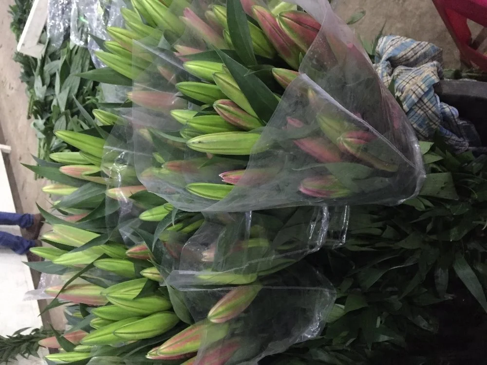 
Fresh cut flowers lily flowers 