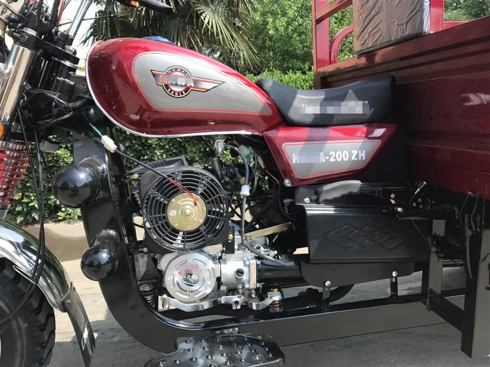 China factory 200cc moped motorized van cargo gasoline  delivery tricycle